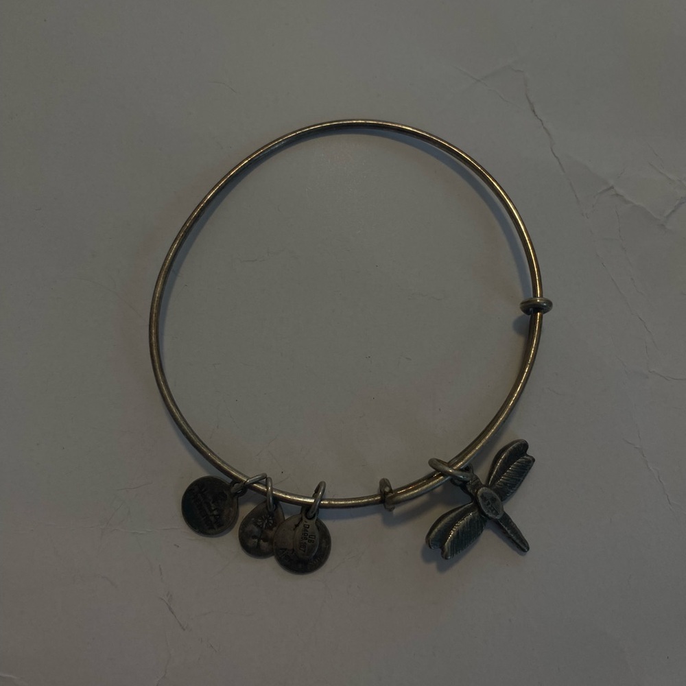 Alex and Ani Gold Dragonfly Charm Bracelet